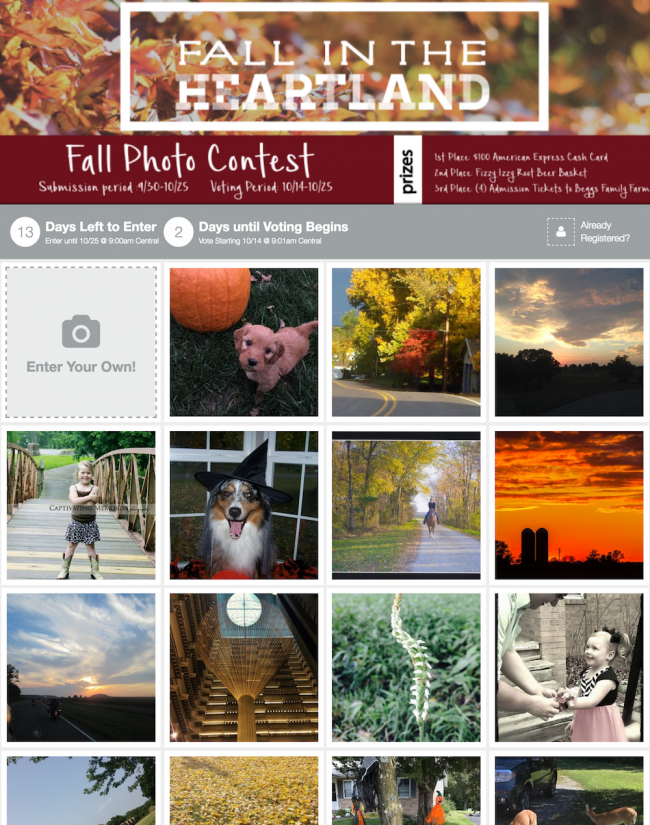 October Fall Photo Contest