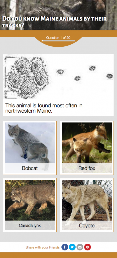 Do You Know Maine Animals By Their Tracks?