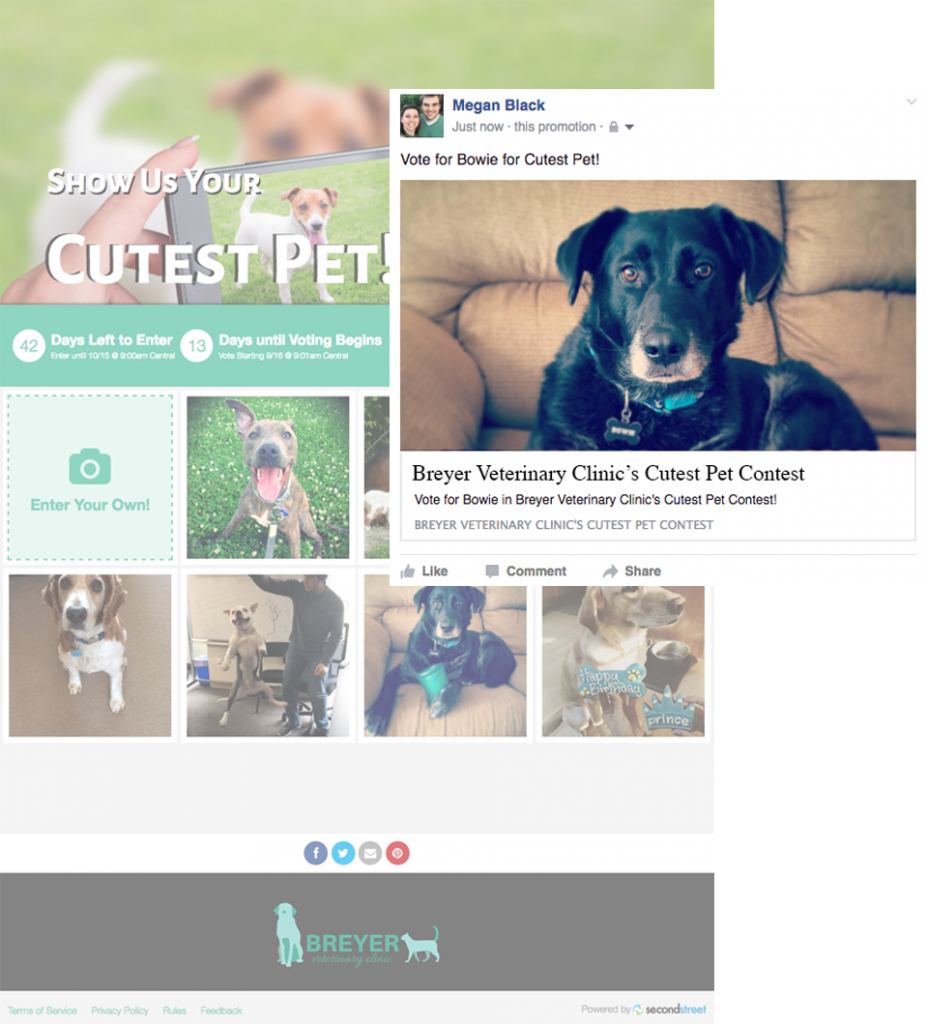Be sure to customize the text and images for social shares