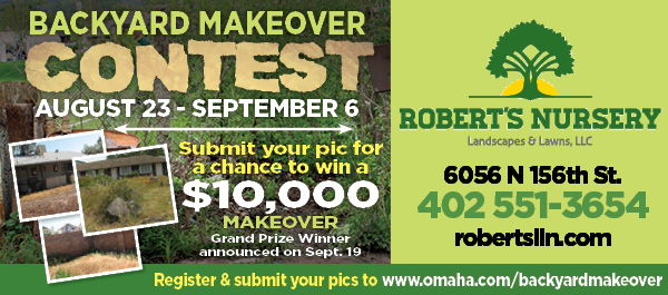 Photo Contest Offered 10k Yard Makeover Second Street Lab
