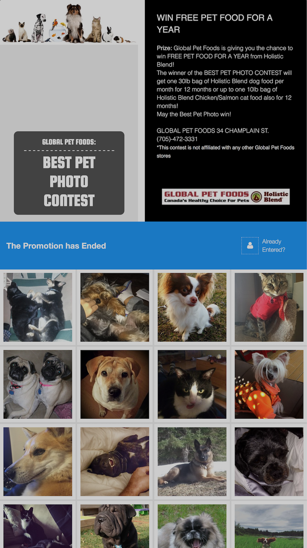 Pet Photo Contest Uncovers Leads for Sponsor