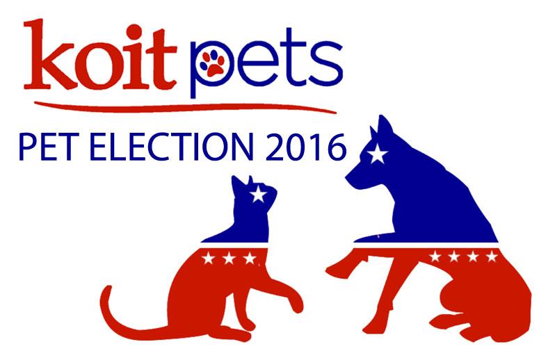 Pet Election