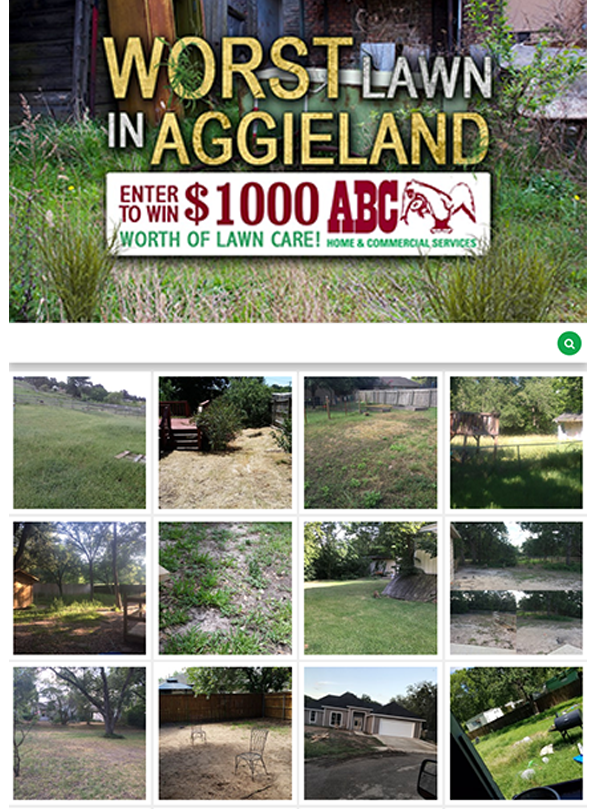 KNDE Worst Lawn in Aggieland
