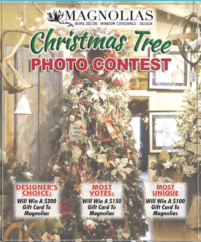 Norfolk daily news christmas tree photo contest png