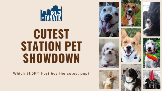 cutest station pet showdown cover photo