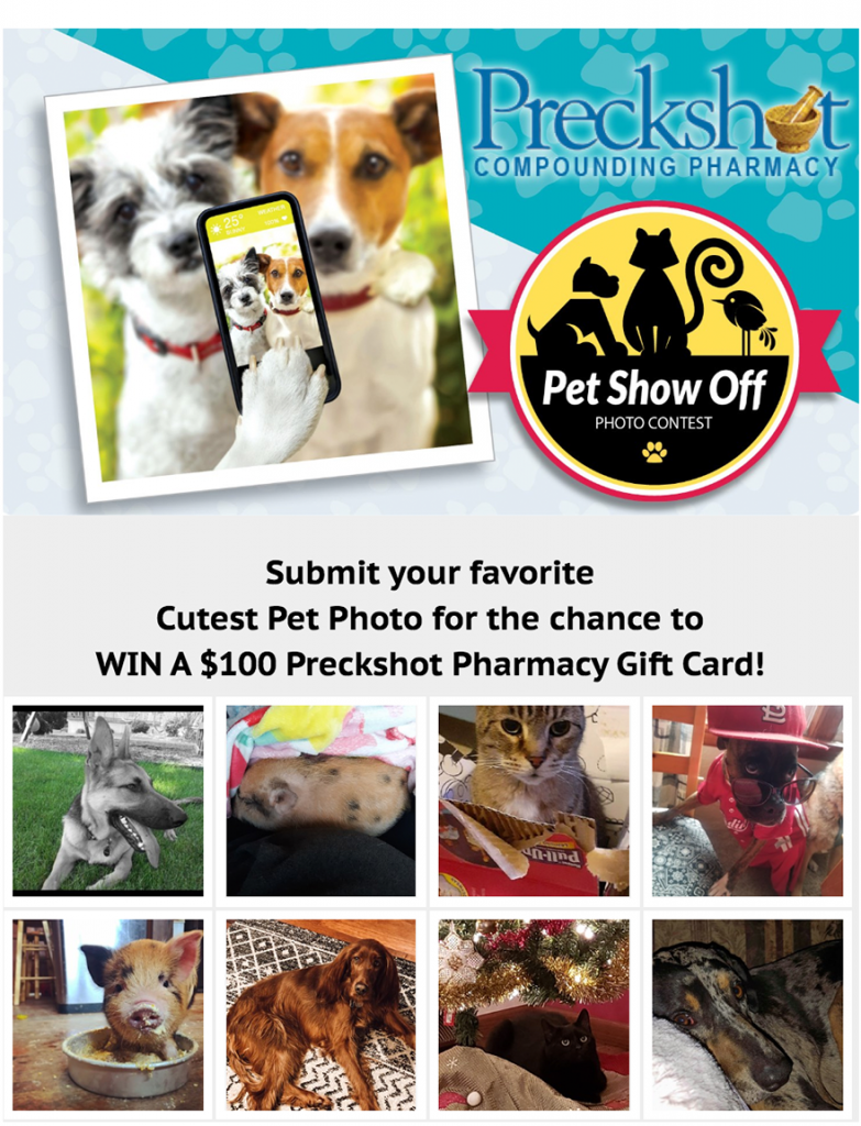 Cutest Pets Photo Contest fromPeoria Journal-Star