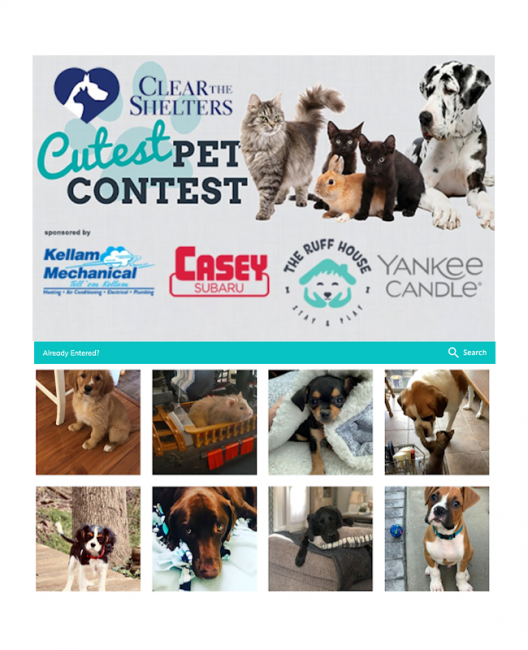 WAVY-TV Cutest Pet Photo Contest